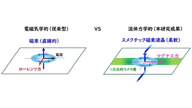 スメクチック磁束液晶