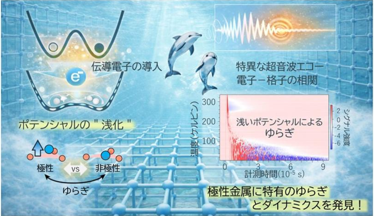 極性金属に潜む構造ゆらぎの謎を解明